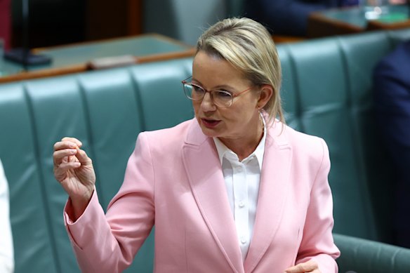 Opposition Leader Sussan Ley in the House of Representatives on Wednesday.