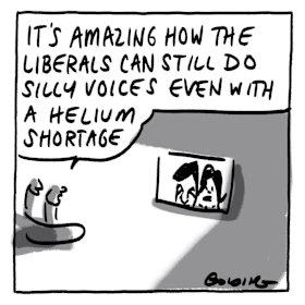 Libspeak.
