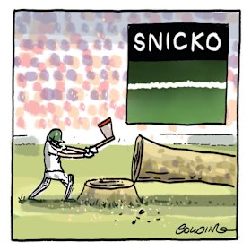 If a wicket falls, does anyone hear it?