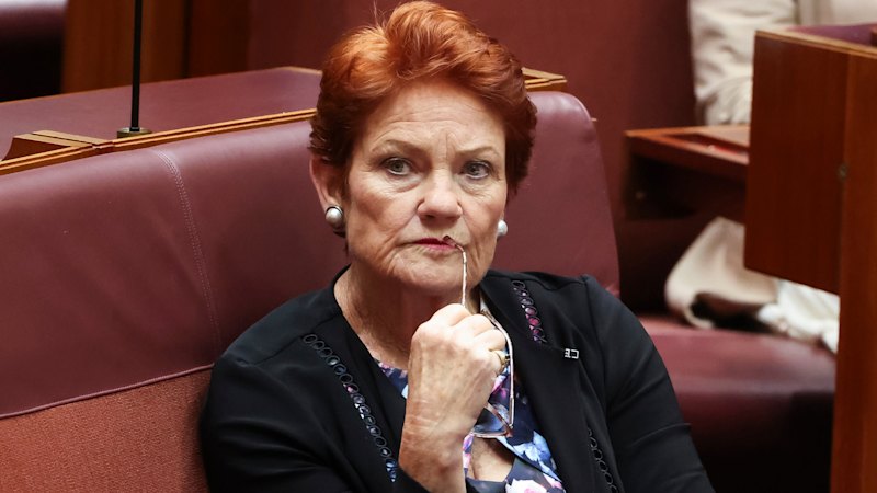 Pauline Hanson billed taxpayers 00 for charter flight to opening of Rinehart-funded building