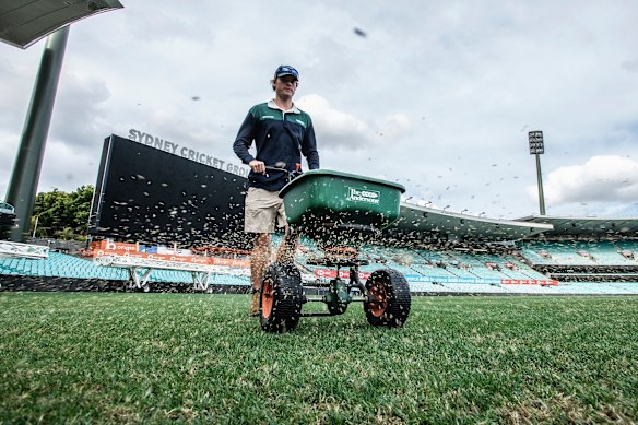 The SCG grounds.