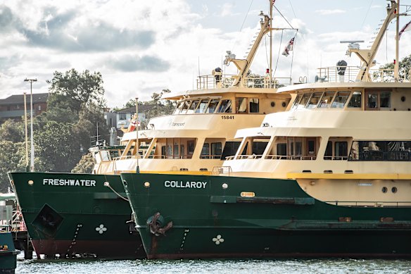 The Freshwater-class ferries between Circular Quay and Manly will be out of service during summer.
