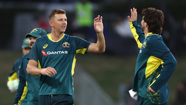 Josh Hazlewood has been ruled out of the T20 World Cup.