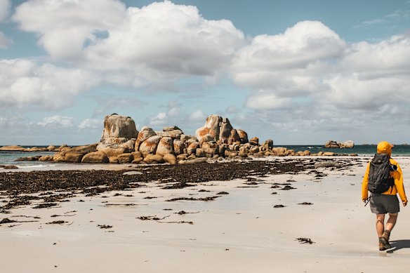 Palawa guide on the Wukalina Walk.