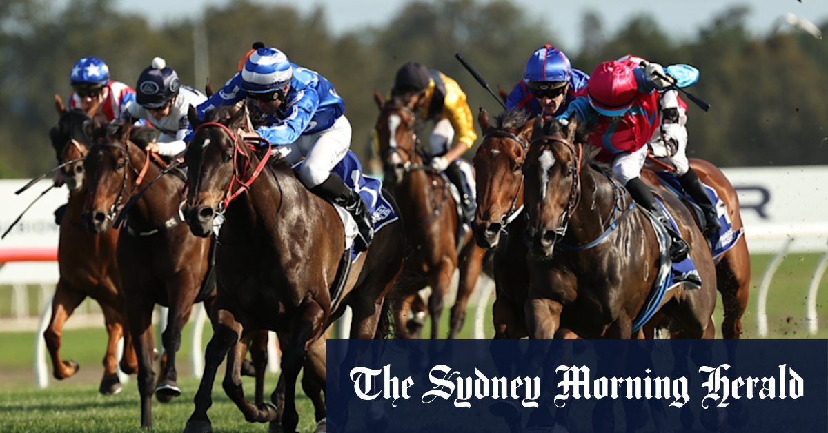 Race-by-race tips and previews for Thursday’s meeting at Kembla Grange