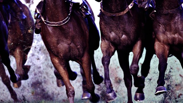 Racing returns to Kembla Grange on Tuesday with a seven-race card.