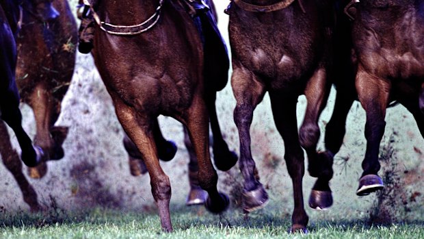 Racing returns to Tamworth on Friday.