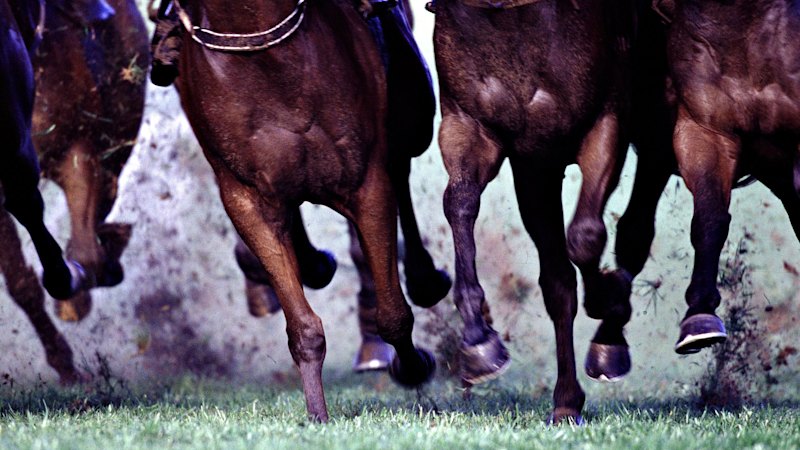 Race-by-race tips and previews for Canterbury on Friday