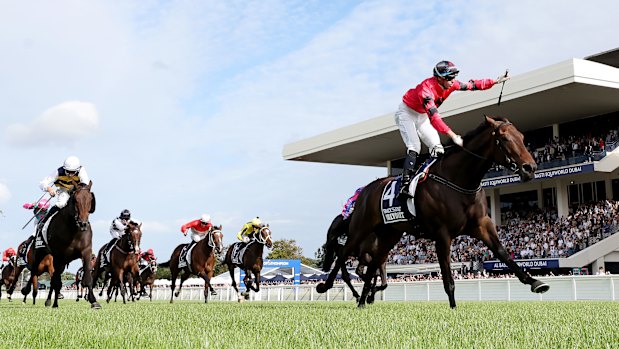 Willydoit takes out the New Zealand Derby in March.