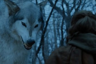 One of the fictional dire wolves featured in Game of Thrones. 