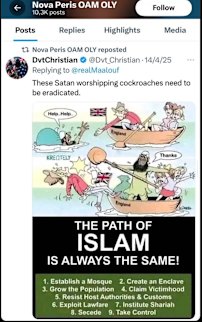 A screenshot of the post Peris shared.