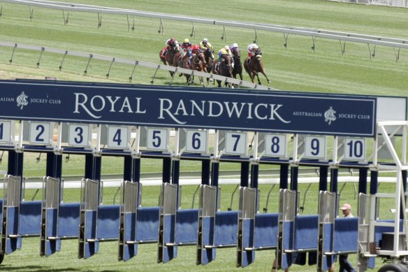 Racehorses in action at Royal Randwick.