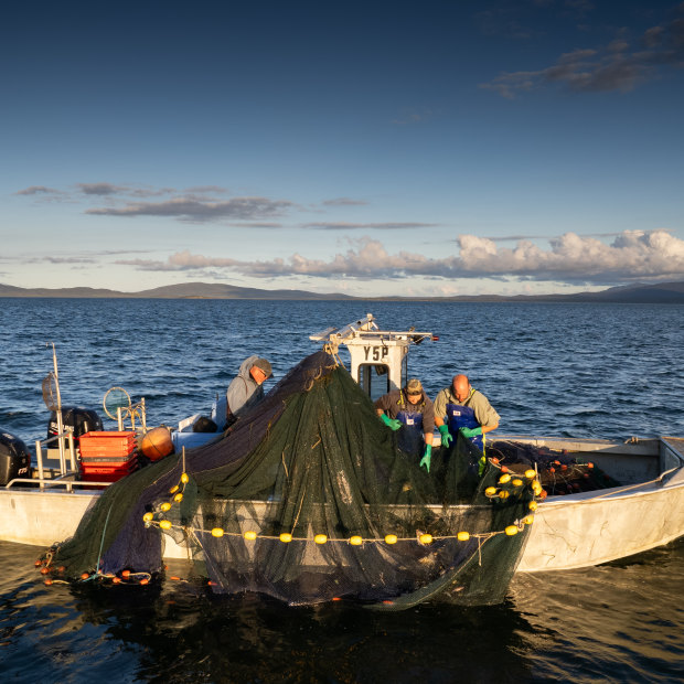 Hauling in the catch at Corner Inlet. 