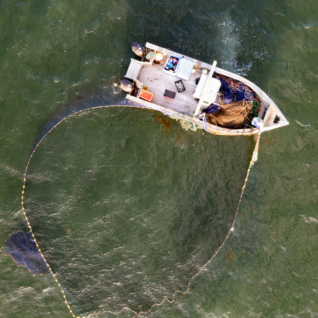 Corner Inlet is the last bay or inlet in Victoria where net fishing is still allowed. 