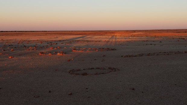Stone arrangements on Mithaka Country were believed to have been used for ceremonial and other activities.