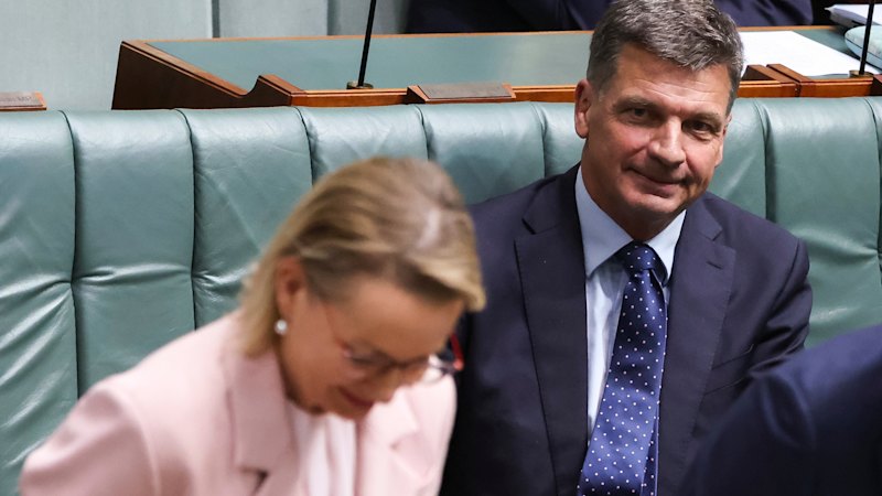 Opposition Leader faces threat as senator Jane Hume calls for change amid low polling