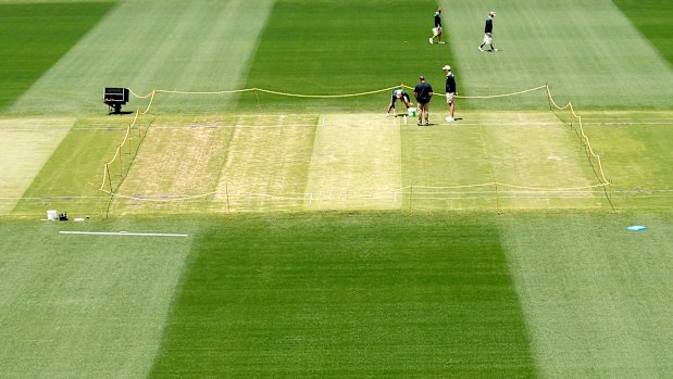 The centre wicket at the SCG on Friday morning, two days out from the start of the fifth Test,