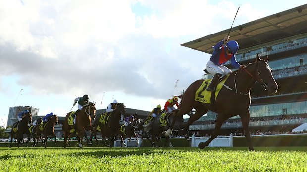 Rachel King salutes on Arapaho in the Sydney Cup.