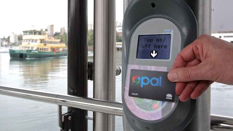 Minns should follow other states and cut public transport fares