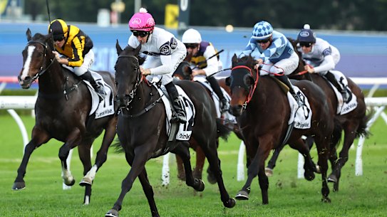 Midnight Dynamite, ridden by Jason Collett, wins the Civic Stakes at Randwick.