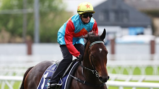 Everest favourite Ka Ying Rising.