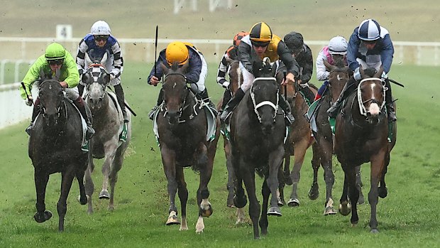 They’re racing at Muswellbrook on Sunday.