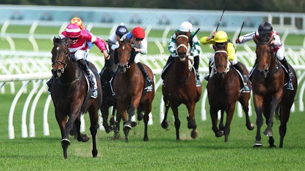 Braith Nock riding Let’s Fly to victory at Randwick on May 24, 2025.