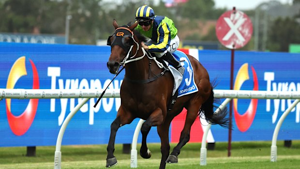 Kind Words was a runner-up last week and is primed to go one better.