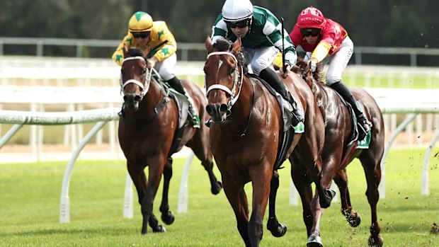 Racing returns to Gosford on Sunday.
