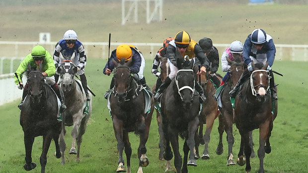 Racing returns to Scone on Thursday.
