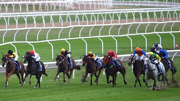 There’s a seven-race card at Newcastle on Thursday.