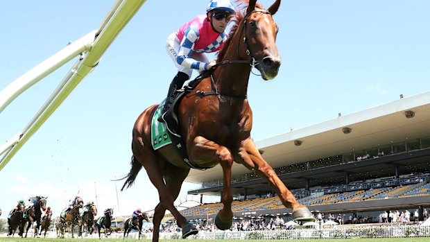 Tommy Berry rides Rose Aye to a win in the Highway Handicap at Rosehill.