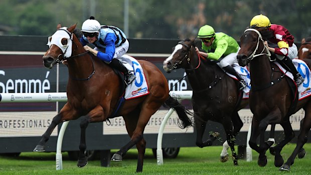 Tom Sherry riding Arctic Glamour.