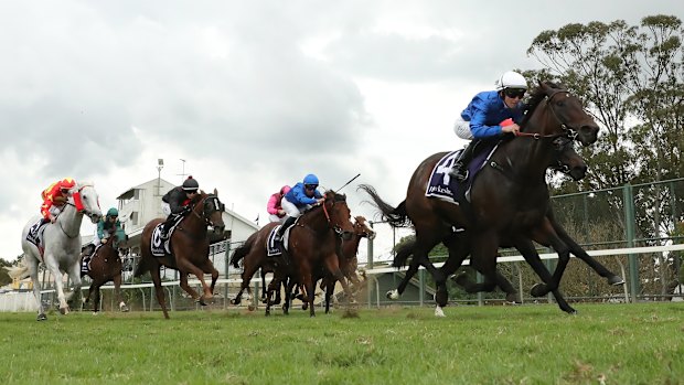 Racing returns to Grafton on Sunday.