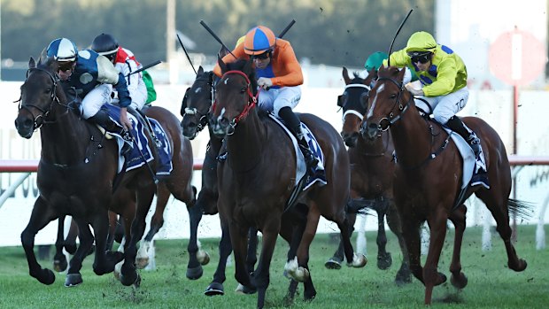 Headley Grange wins at Rosehill on Saturday.