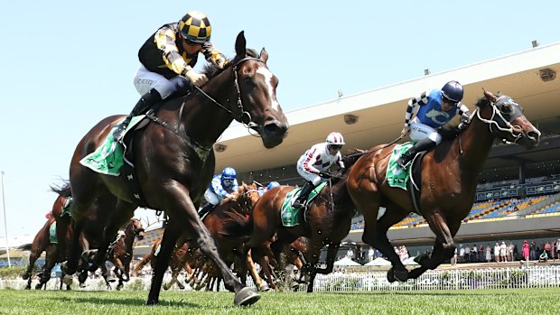 Navy Steel wins the Highway Plate on Saturday.