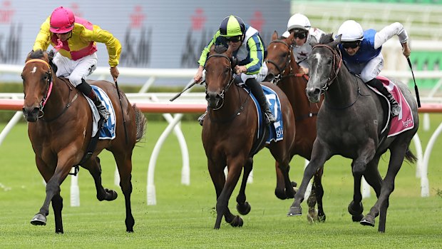 Where’s the Circus (left) pulled off a fairytale win at Randwick on Saturday.