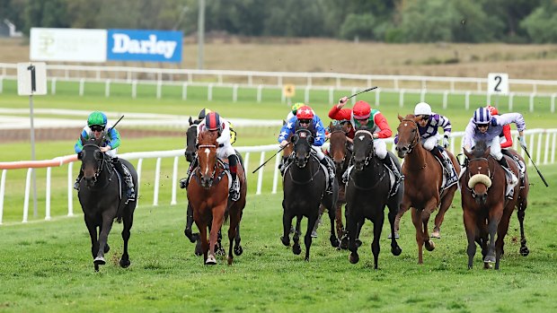 Racing returns to Scone on Thursday.