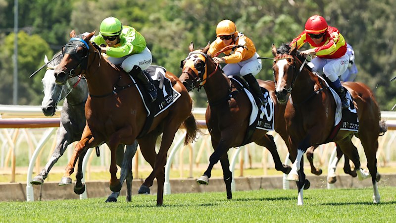 Race-by-race preview and tips for Wyong on Thursday