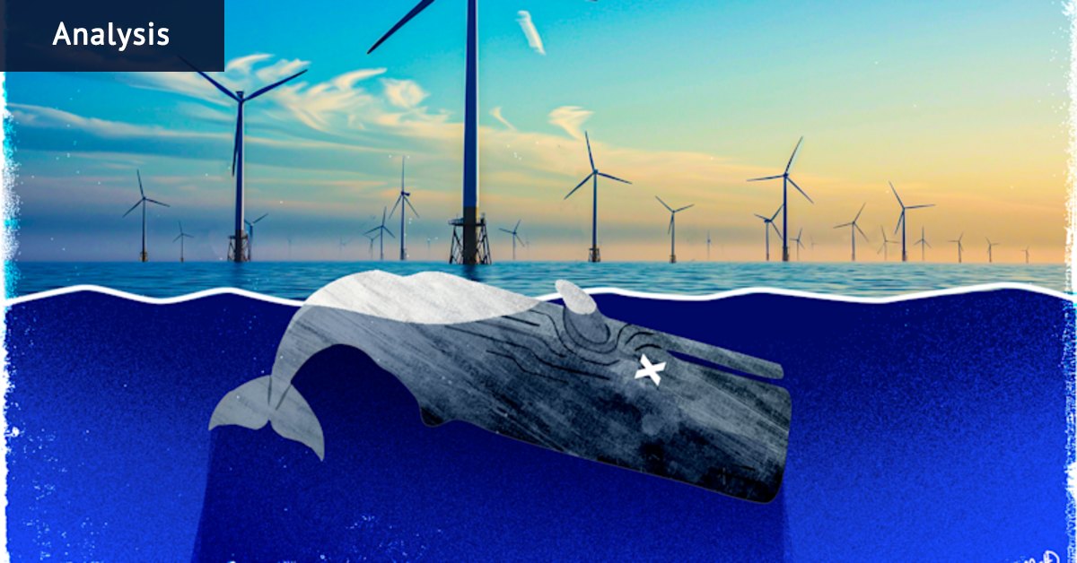 How ‘AI slopaganda’ is helping fossil fuel interests obstruct climate action