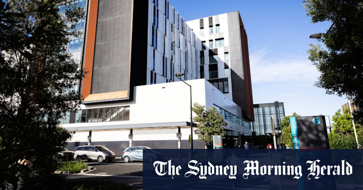 Northern Beaches deserve clarity on private services