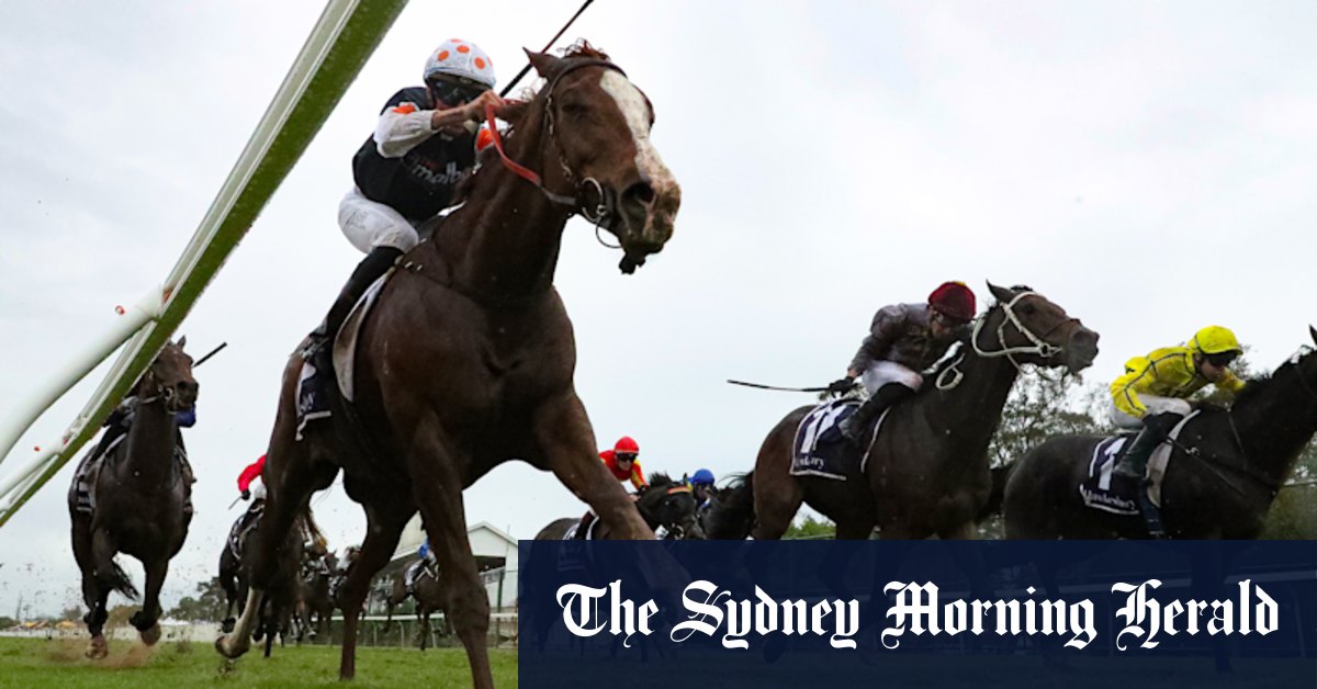 Archibalds’ Nepo Baby primed to make it two from two