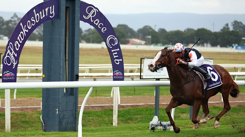 Race-by-race previews and tips for Hawkesbury on Tuesday
