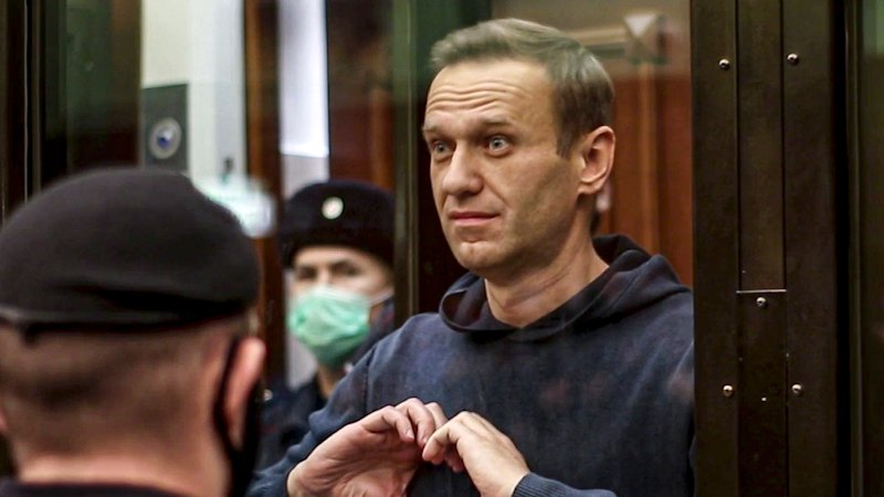 Alexei Navalny was poisoned by Russia with dart frog toxin, European nations say