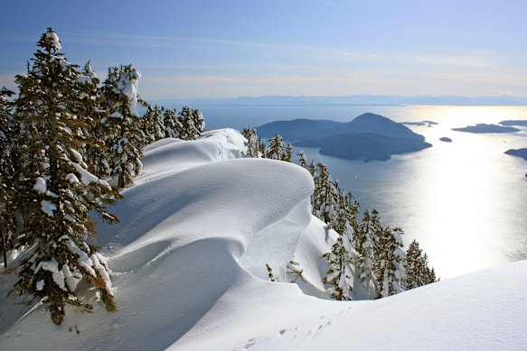  A winter landscape near Vancouver, British Columbia, Canada.