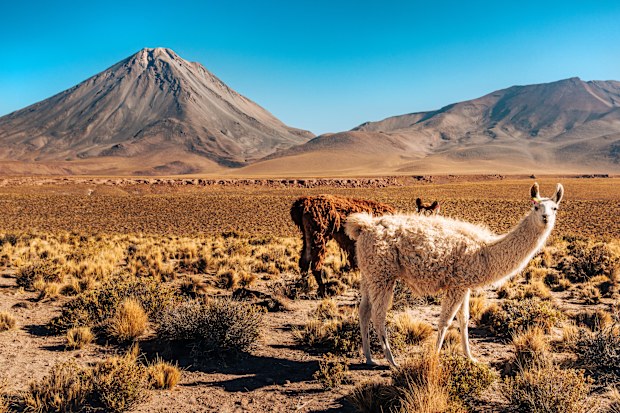 Un ‘valle lunar’, picos de granito y glaciares helados: Chile es la máxima maravilla geográfica