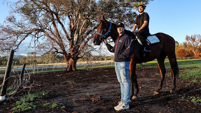 How the Hayes family racing dynasty bounced back after fire devastated their Lindsay Park base