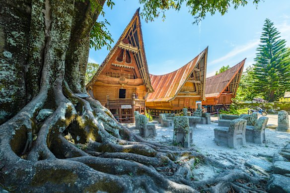 Traditional houses known as batak co-exist beside massive tree roots in North Sumatra. 
