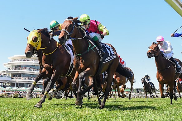 Robbie Dolan rides Knight’s Choice to a famous win in the 2024 Melbourne Cup.