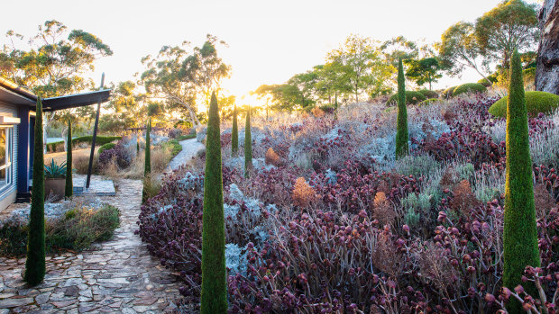 Kurt Wilkinson has created enchanting but robust effects successful  his Adelaide Hills plot  